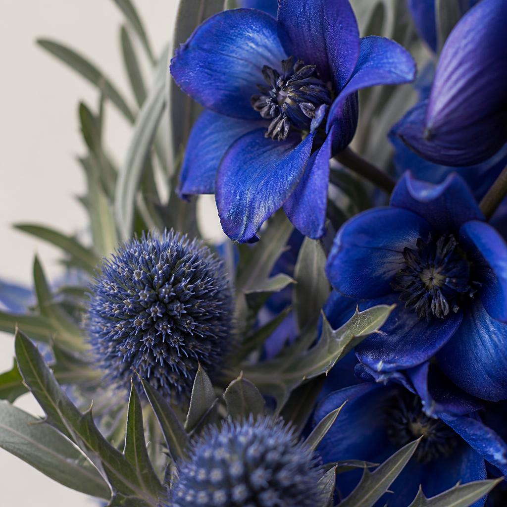 Close-up van blauwe ridderspoor en blauwe distel met saliegroen