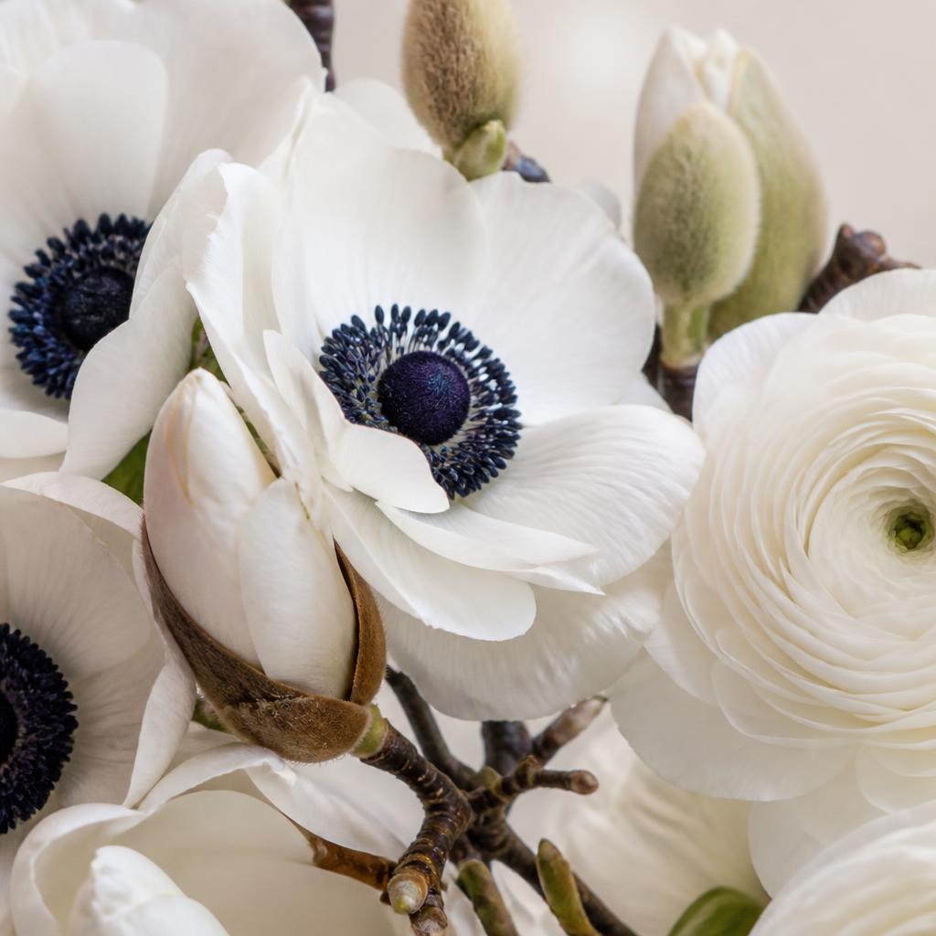Close-up van witte anemonen en ranonkels met magnoliaknoppen
