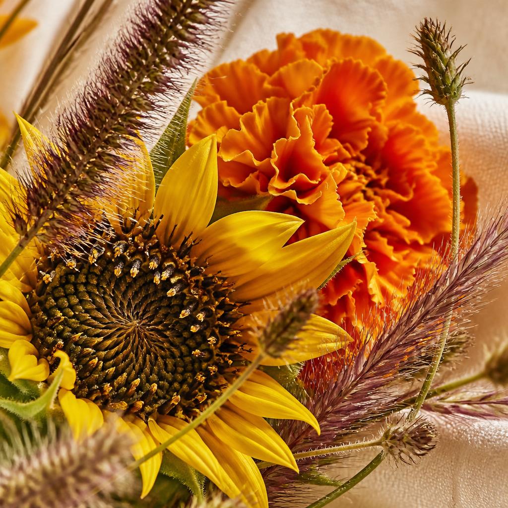 Close-up van een zonnebloem met oranje goudsbloem en siergrassen